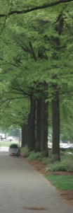 D.C. Trip 149