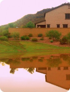 Monsoon season 019-1